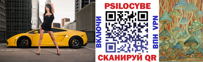 Галлюциногенные грибы Cubensis  мега ТОР  darknet официальный сайт  Купино 